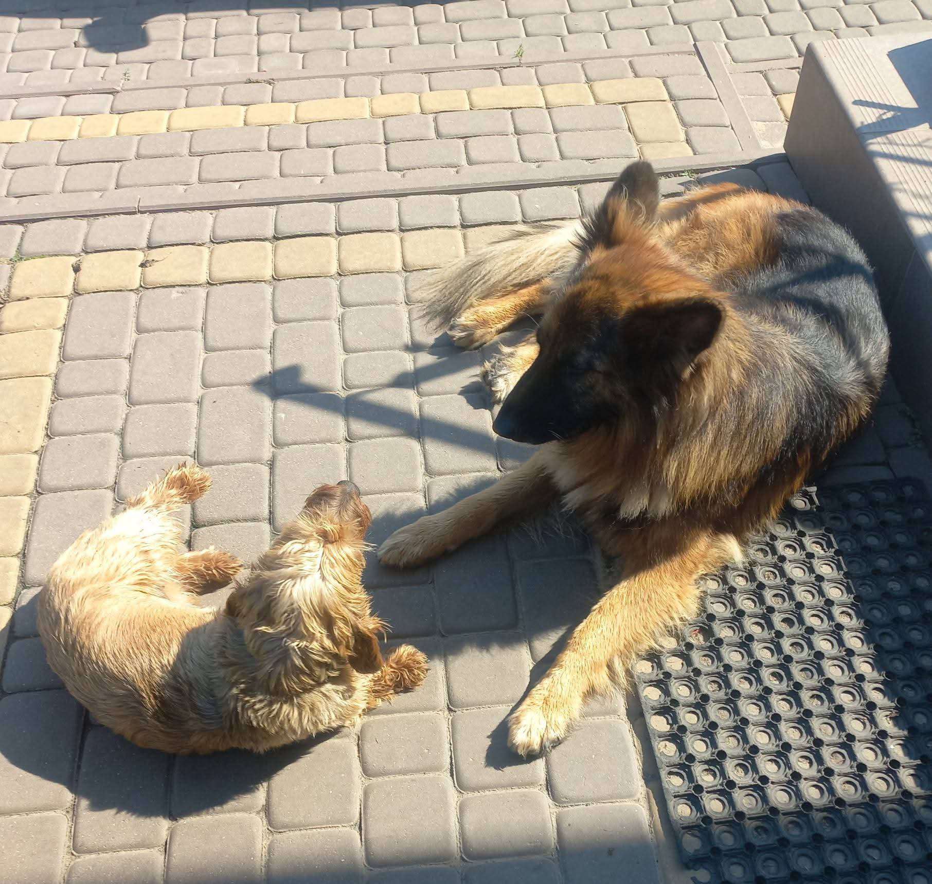 Zdjęcie z galerii 5